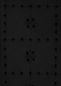 Shirt with embroidered eyelet details