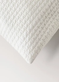 Satin cushion cover