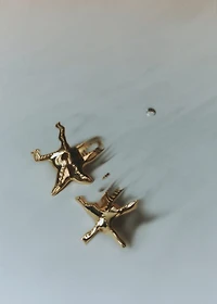 Star design earrings