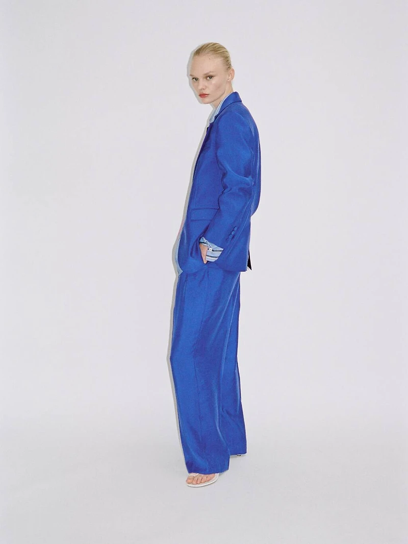 Wide-leg pleated suit pants