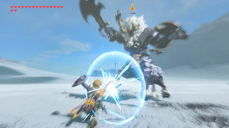 The Legend Of Zelda: Breath Wild - Bilingual Version