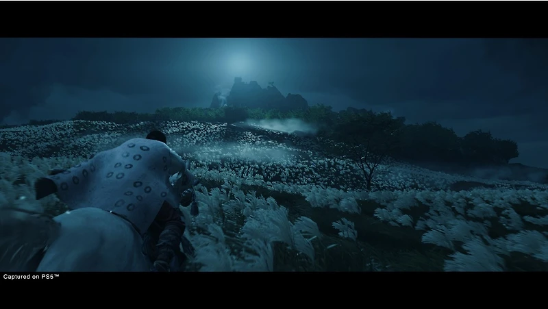 Ghost Of Tsushima Director's Cut