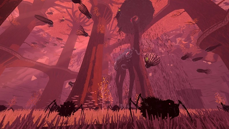 Boomerang X - Numérique