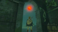 the Legend of Zelda: Tears Kingdom