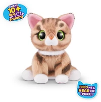 Zuru Pets Alive: Smitten Kitten – Une variation choisie au hasard