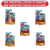 Nintendo Super Mario 2.5 Inch Figures Wave 42 – One Variation Chosen at Random