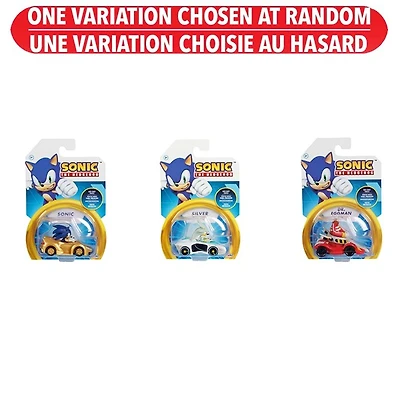 Sonic 1:64 Die Cast Vehicle Assorted Wave 5 – One Variation Chosen at Random