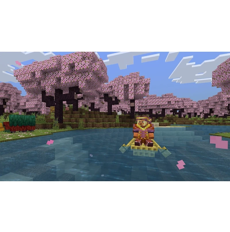 Minecraft + 3500 Minecoins