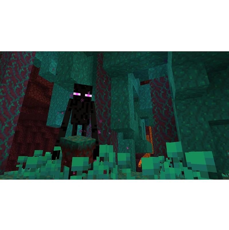 Minecraft + 3500 Minecoins