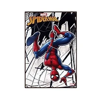 Spider-Man Wall Art 