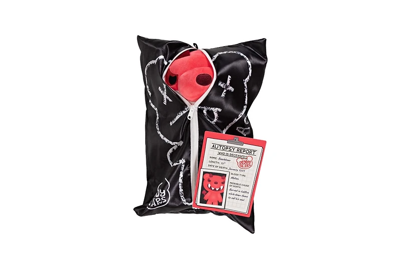 Deddy Bear 12" Plush in Body Bag Assortment – One Variation Chosen at Random