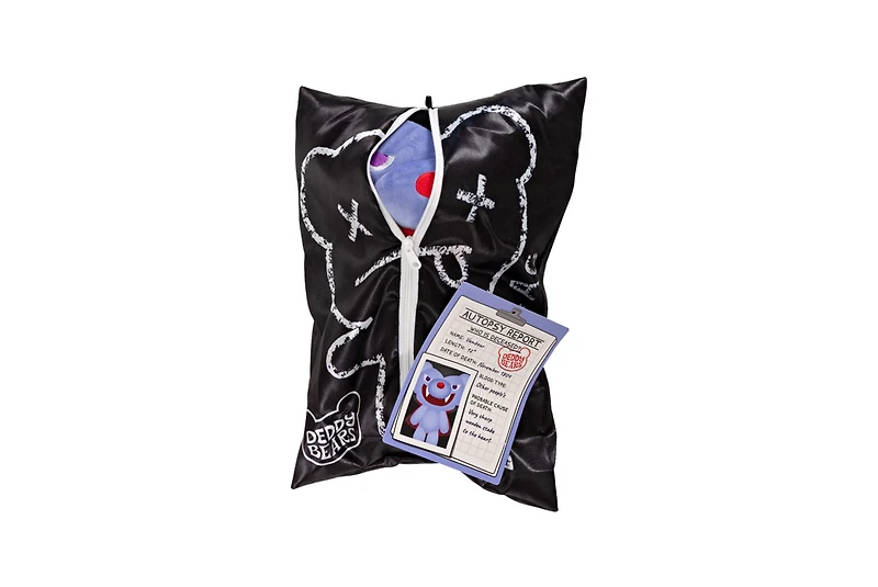 Deddy Bear 12" Plush in Body Bag Assortment – One Variation Chosen at Random