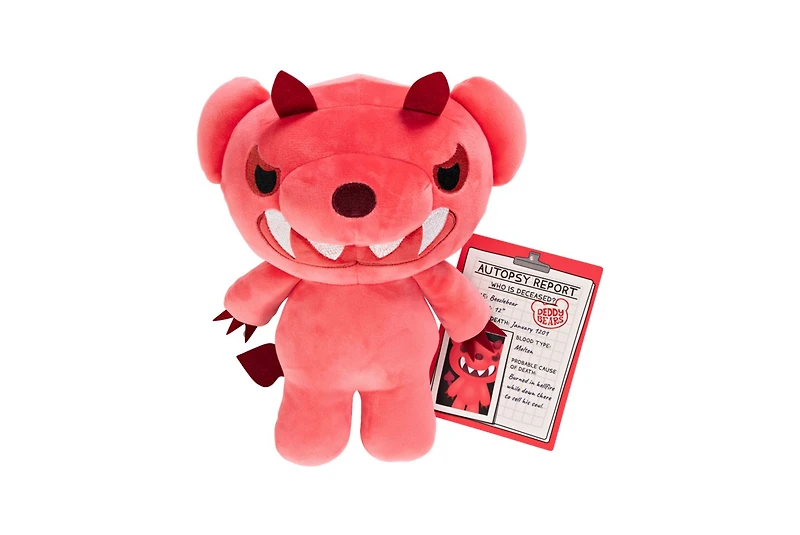 Peluche Deddy Bear 12" dans un sac de transport Assortie – Une variation choisie au hasard