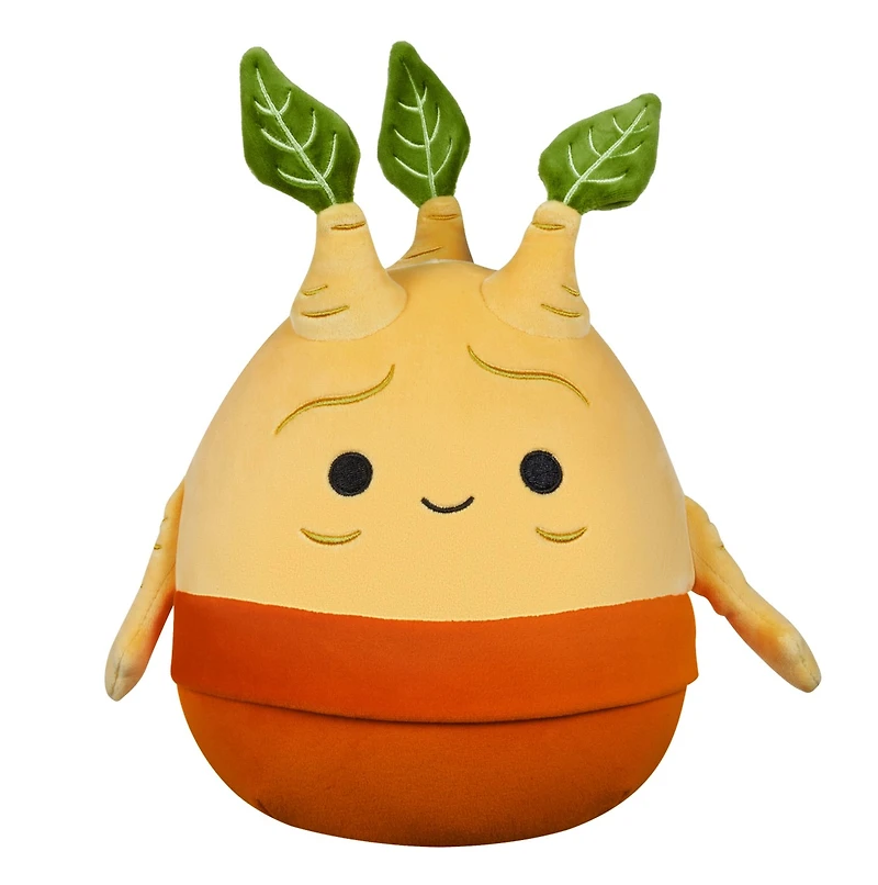 Harry Potter 8-Inch Squishmallows - Assorted – One Variation Chosen at Random