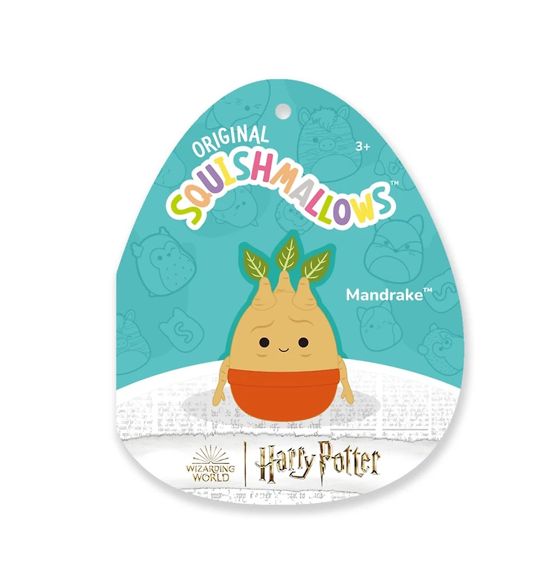 Harry Potter 8-Inch Squishmallows - Assorted – One Variation Chosen at Random