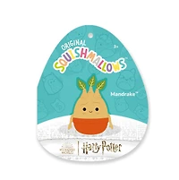 Harry Potter 8-Inch Squishmallows - Assorted – One Variation Chosen at Random