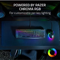 Razer BlackWidow V4 X keyboard 