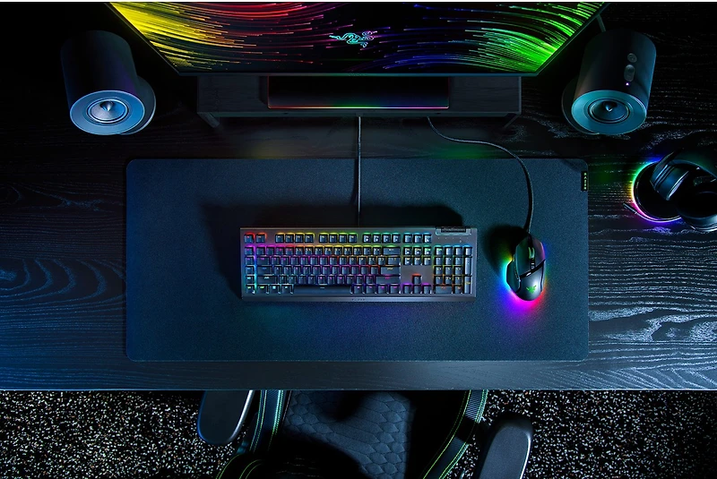 Razer BlackWidow V4 X keyboard