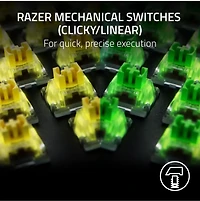 Razer BlackWidow V4 X keyboard 
