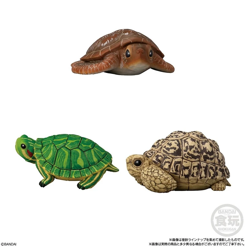 Bandai Tenori Animal Friends Vol11 -Reptiles and Amphibians – One Variation Chosen at Random