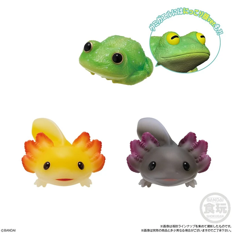 Bandai Tenori Animal Friends Vol11 -Reptiles and Amphibians – One Variation Chosen at Random