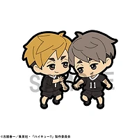 Haikyu!! Buddycolle Rubber Mascot Assorted - One Variation Chosen at Random
