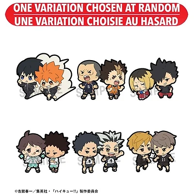 Haikyu!! Buddycolle Rubber Mascot Assortie – Une variation choisie au hasard