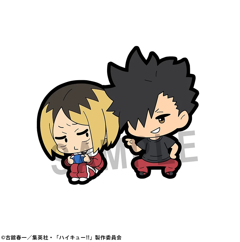 Haikyu!! Buddycolle Rubber Mascot Assorted - One Variation Chosen at Random