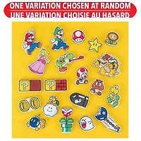 Super Mario Chara-Magnets Blind Pack – Une variation choisie au hasard