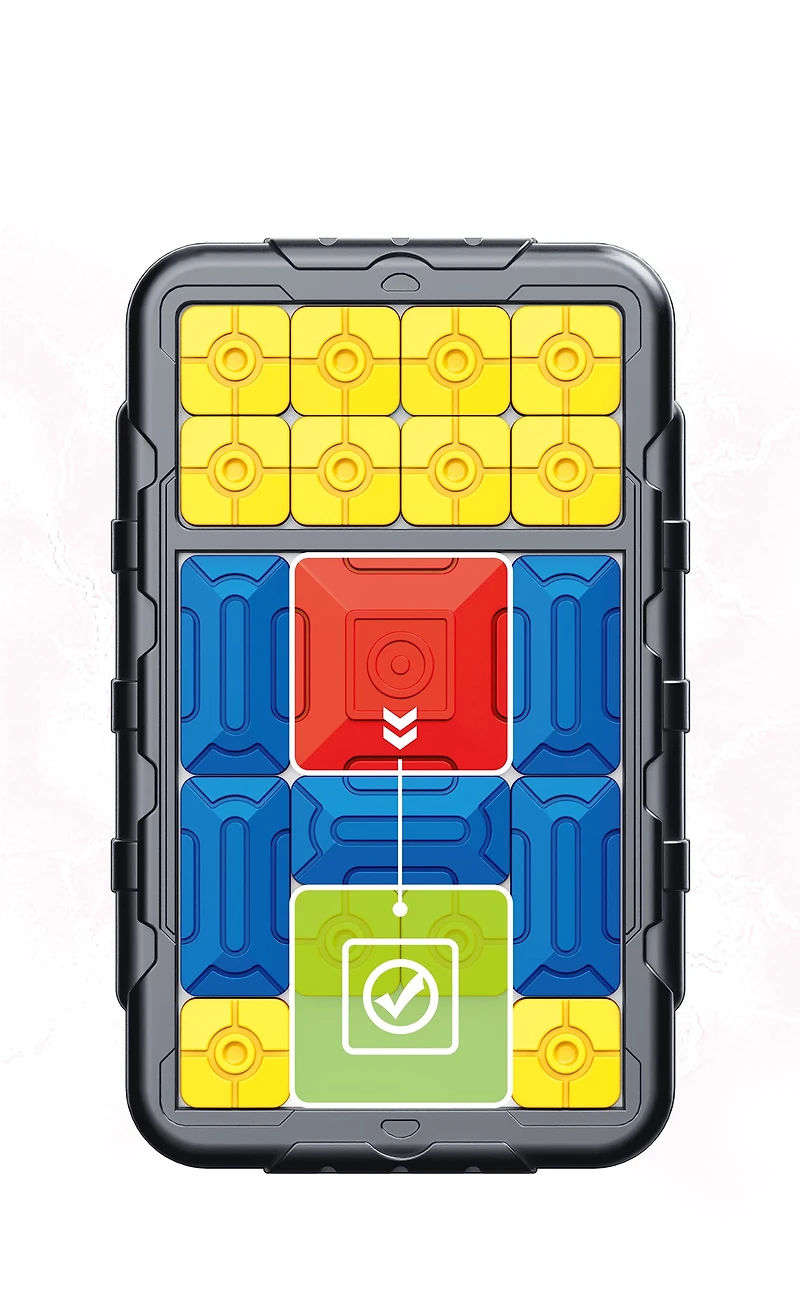 Jeu de puzzle coulissant Biogenik 