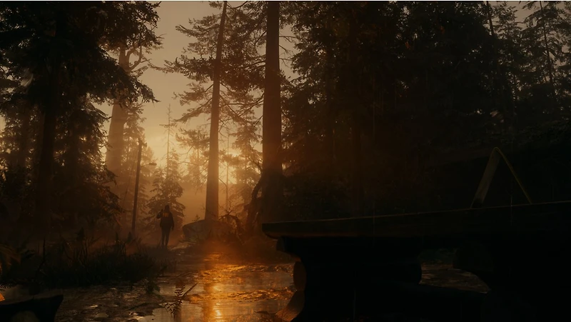 Alan Wake II Deluxe Edition