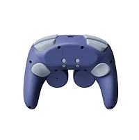 Biogenik NSW Wireless Pro Controller 