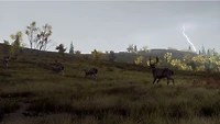 Way of the Hunter: Wild Expeditions 