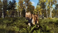 Way of the Hunter: Wild Expeditions 