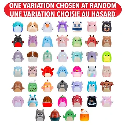 Squishmallows: Squish-a-long Surprise - Pack – One Variation Chosen at Random