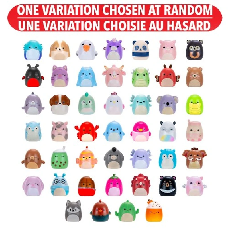 Squishmallows: Squish-a-long Surprise Pack – One Variation Chosen at Random