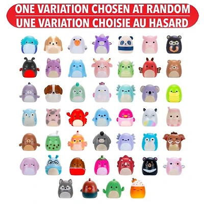 Squishmallows: Squish-a-long Surprise Pack – One Variation Chosen at Random