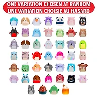 Squishmallows: Squish-a-long Surprise Pack – One Variation Chosen at Random