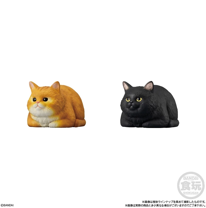 Mocchiri Kororin Cats Bandai Shokugan Mocchiri Kororin – One Variation Chosen at Random