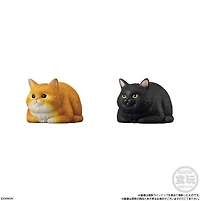 Mocchiri Kororin Cats Bandai Shokugan Mocchiri Kororin – One Variation Chosen at Random