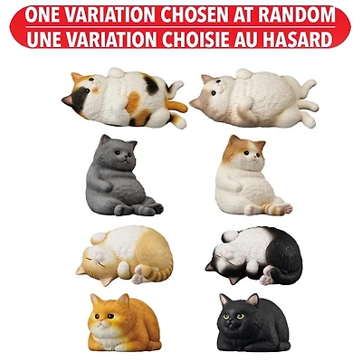 Mocchiri Kororin Cats Bandai Shokugan Mocchiri Kororin – One Variation Chosen at Random