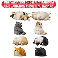 Mocchiri Kororin Cats Bandai Shokugan Mocchiri Kororin – One Variation Chosen at Random
