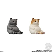 Mocchiri Kororin Cats Bandai Shokugan Mocchiri Kororin – One Variation Chosen at Random