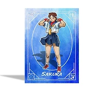 Street Fighter Alpha: Warriors' Dreams Trading Cards Collector Box (2 Packs) 