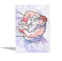 Street Fighter Alpha: Warriors' Dreams Trading Cards Collector Box (2 Packs) 