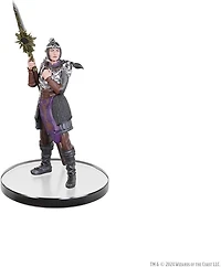 Dungeons & Dragons Icons of the Realms : Baldur's Gate 3 Box Set 