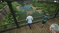 My Vet Practice in the Zoo 