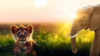 My Vet Practice in the Zoo 