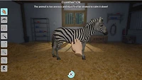 My Vet Practice in the Zoo 