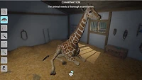 My Vet Practice in the Zoo 